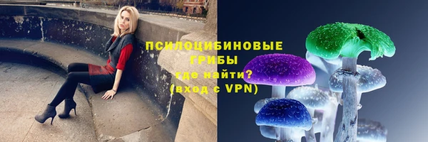 a pvp Грязовец