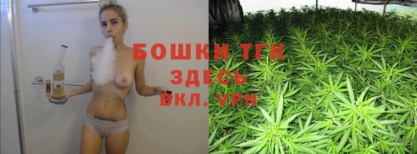 гидропоника Дегтярск