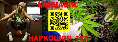 СК Гагарин