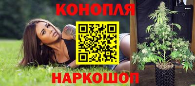 стаф Гатчина