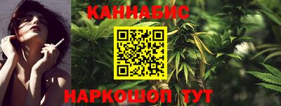 стаф Гатчина