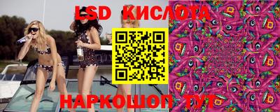 молекула духа Гай