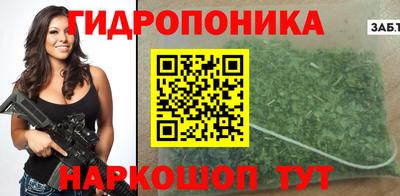 стаф Гатчина
