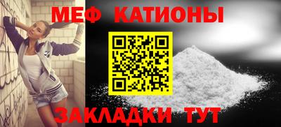 стаф Гатчина