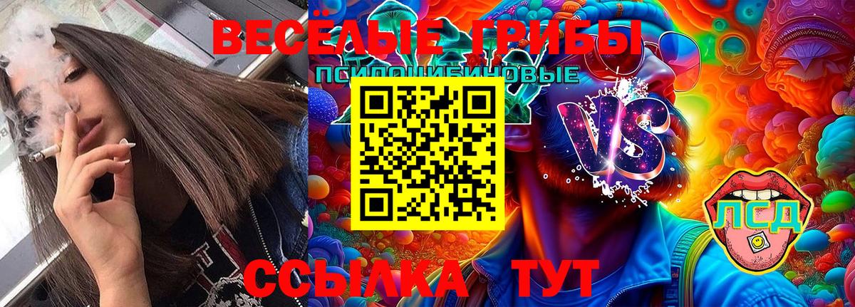 Псилоцибиновые грибы Magic Shrooms  Псилоцибиновые грибы Magic Shrooms  Вход с VPN  Лыткарино 