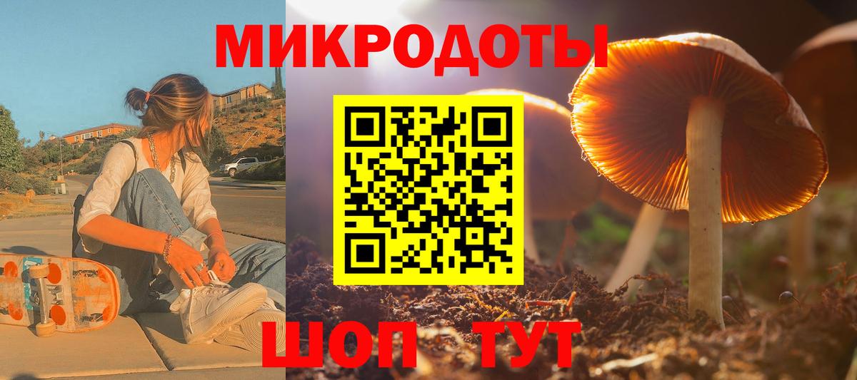 Псилоцибиновые грибы Psilocybe Лыткарино