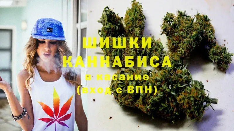 Марихуана THC 21%  Лыткарино 